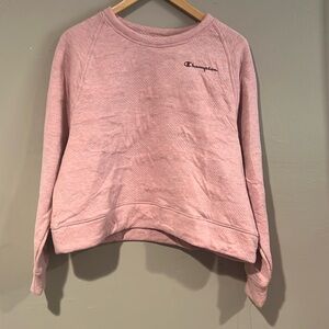 Champion sweatshirt
